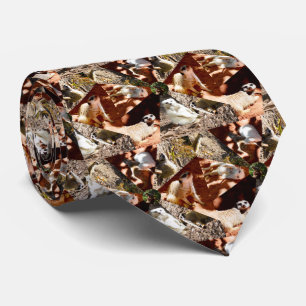 Nine Meerkat Triangles, Neck Tie Slips