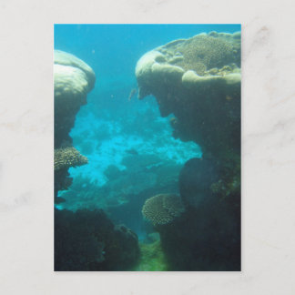 Ningaloo Reef Vykort