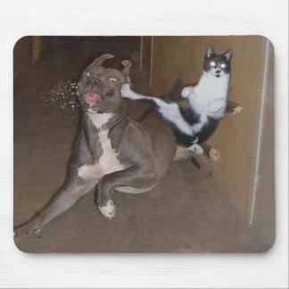 Ninja katt Mousepad Musmatta