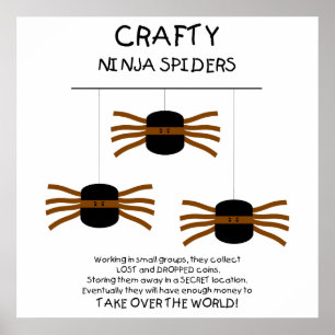 Ninja spindlar! poster