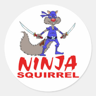 Ninja Squirrel Runt Klistermärke