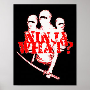 NINJA VAD? POSTER