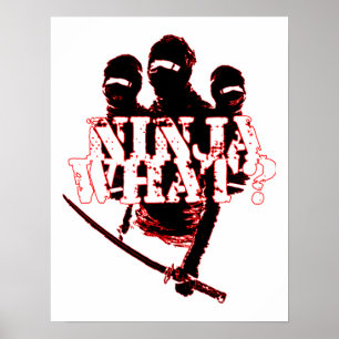 NINJA VAD? POSTER