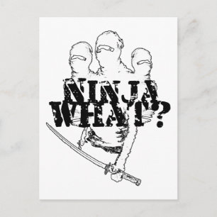 NINJA VAD? VYKORT