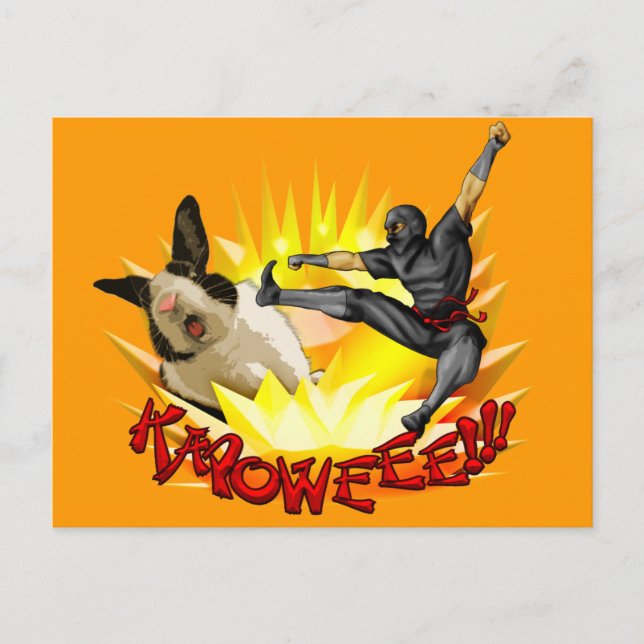 Ninja vs. Bunny vykort(?!?) Vykort (Framsida)