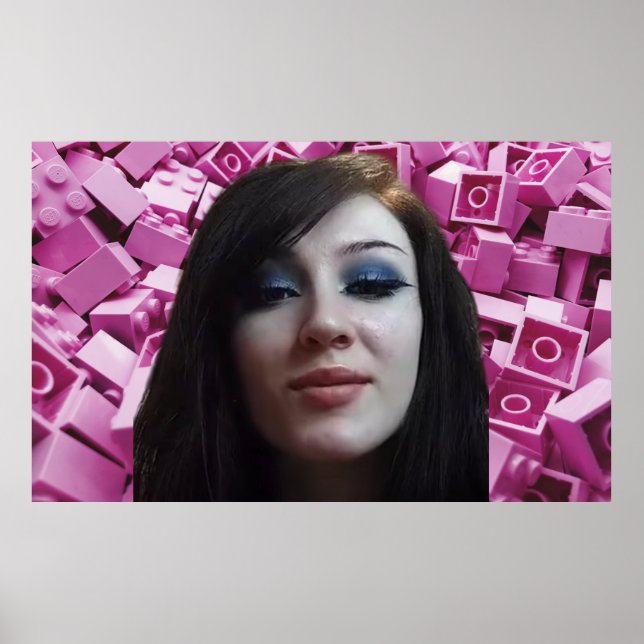 Ninjagobabe2001 Poster (Framsidan)