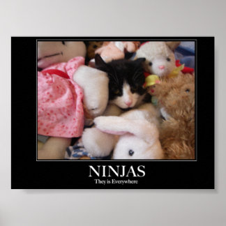 Ninjas - de finns överallt poster
