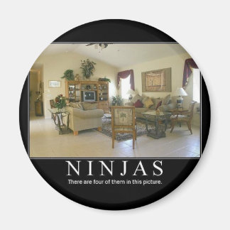 ninjas magnet
