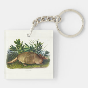 Nio-bananade, långnosade armadillo av Audubon