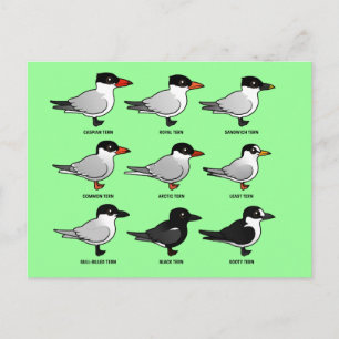 Nio Birdorable Terns (märkt) Vykort