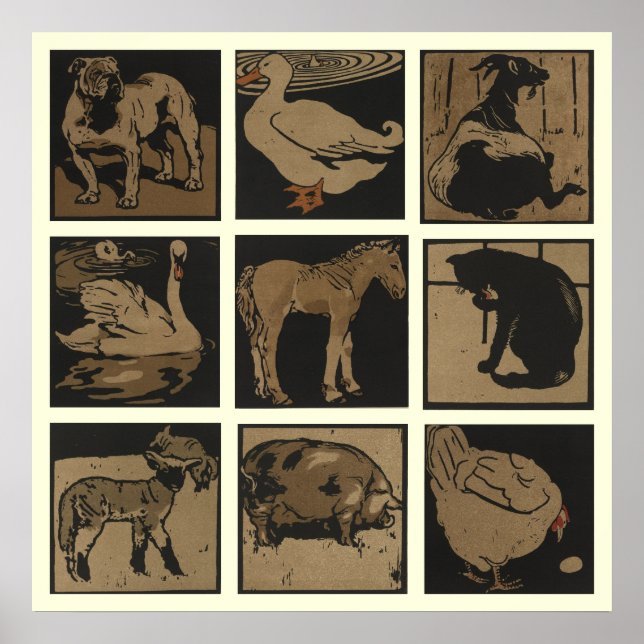Nio djur poster (Framsidan)