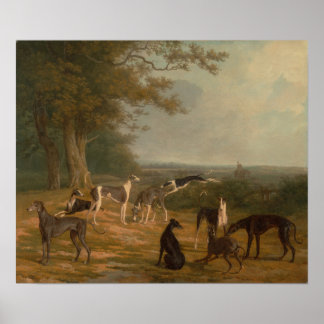 Nio greyhound i liggande poster