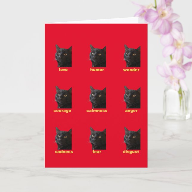 Nio känslor hos min katt vektor urklipp kort (Orkide)