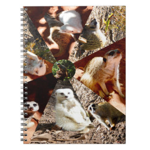 Nio Meerkat Triangles, bärbar dator Anteckningsbok