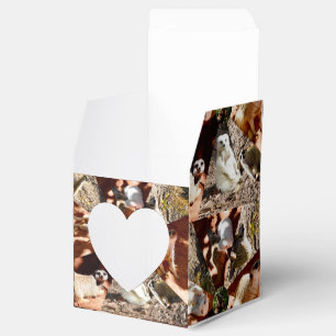 Nio Meerkat Triangles, Party Favor Box Presentaskar