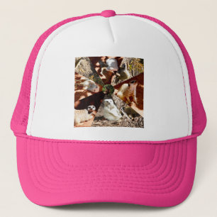 nio Meerkat Triangles, Truckers Hat Keps