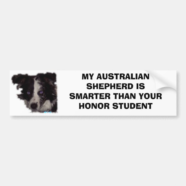 Niobe CO, min australian shepherd är smartare än.. Bildekal (Framsidan)