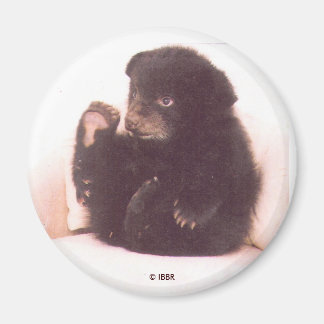 Nipper Magnet