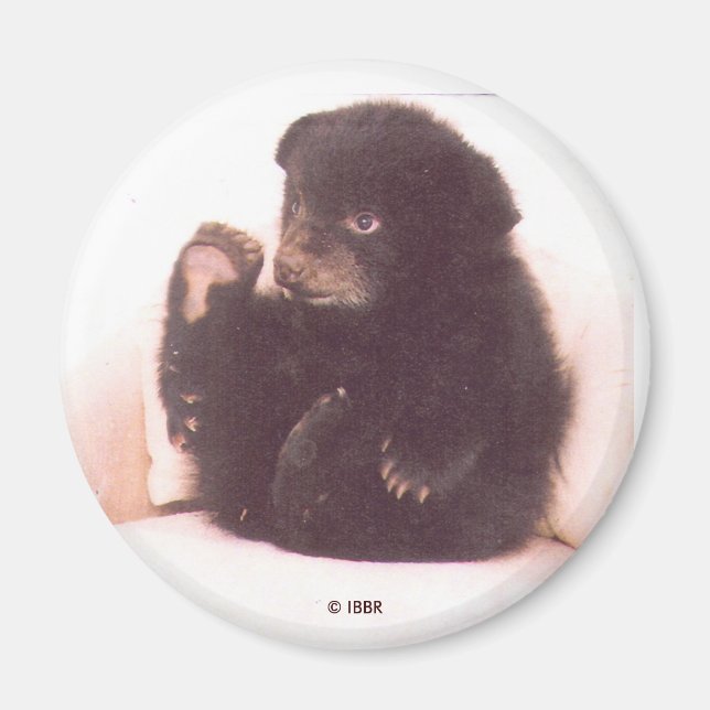 Nipper Magnet (Framsidan)