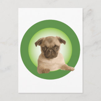 NIPRA-apparat Vykort