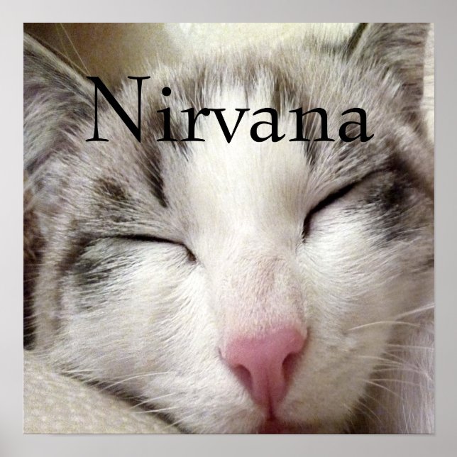 Nirvana Cat Poster (Framsidan)