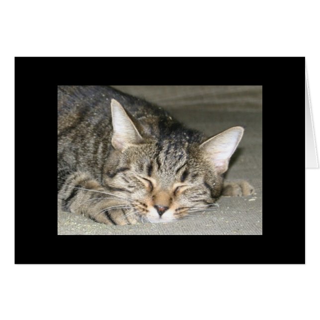 Nirvana Hälsningskort (Framsidan Horizontal)