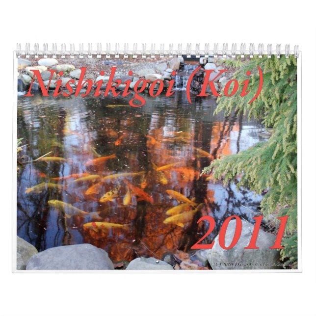 Nishikigoi (Koi) kalender, 2011 Kalender (Omslag)