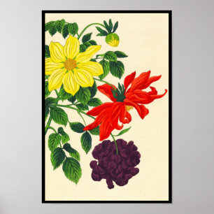Nishimura Hodo Dahlias oriental japanska blommor Poster