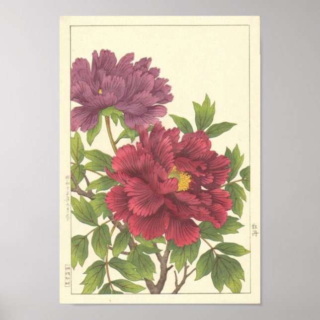 Nishimura Hodo Peony Japanska blommor Fin Art Poster (Framsidan)