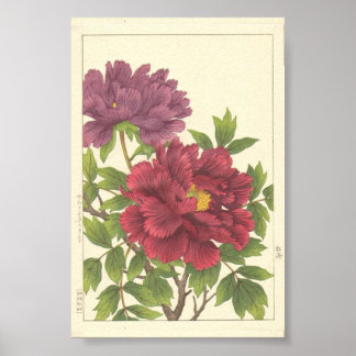 Nishimura Hodo Pion Japanska Blommor Finkonst Poster