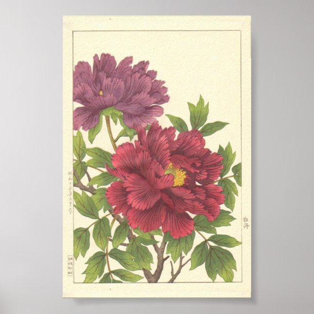 Nishimura Hodo Pion Japanska Blommor Finkonst Poster (Framsidan)