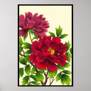 Nishimura Hodo Pion japanska blommor finkonst Poster