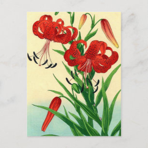 Nishimura Hodo Tiger Lilies Shin Hanga Flowers Vykort