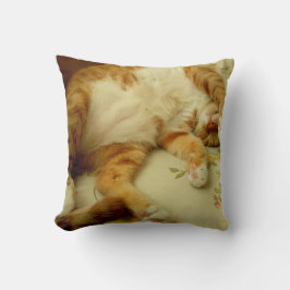 Nite Nite som drömm katten, kudder Kudde
