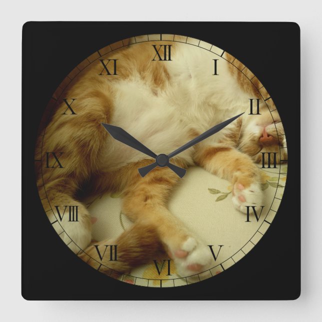 Nite Nite som drömm kattväggen, tar tid på Fyrkantig Klocka (Framsida)