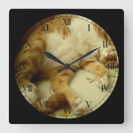 Nite Nite som drömm kattväggen, tar tid på Fyrkantig Klocka