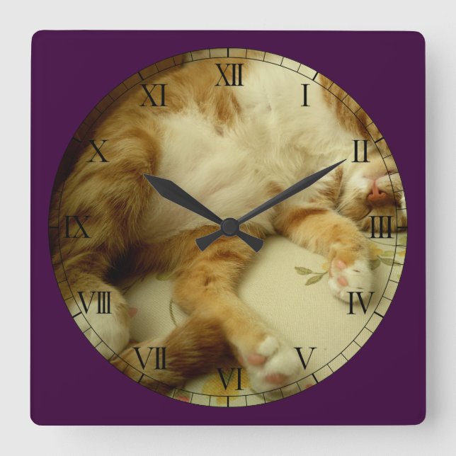 Nite Nite som drömm kattväggen, tar tid på Fyrkantig Klocka (Framsida)