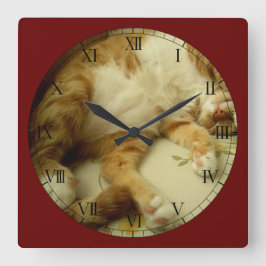 Nite Nite som drömm kattväggen, tar tid på Fyrkantig Klocka