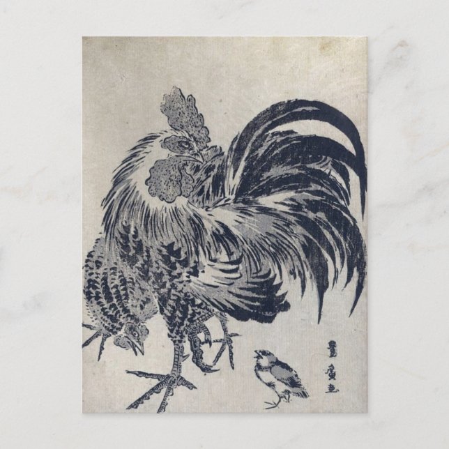 Niwatori Vykort (Framsida)