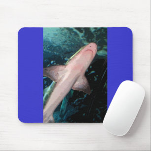 NJ Shark CB Musmatta