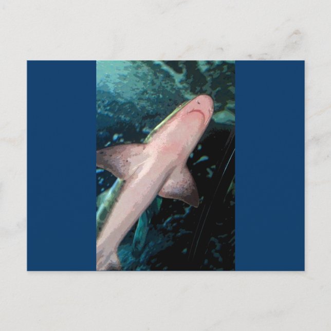 NJ Shark CB Vykort (Framsida)