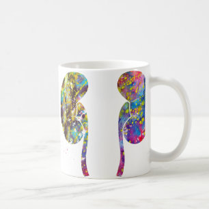 Njuranas anatomi kaffemugg