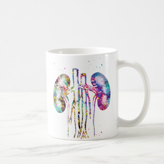 Njuranatomi Kaffemugg (Höger)