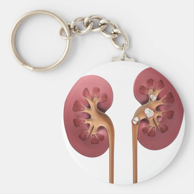 njurar nyckelring (Framsidan)