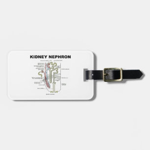 Njure Nephron (grays anatomiläroboken) Bagagebricka