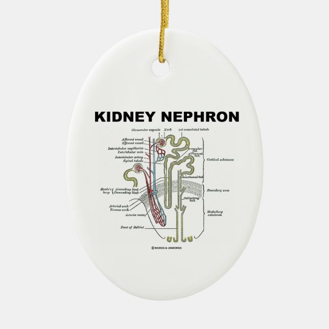 Njure Nephron (grays anatomiläroboken) Julgransprydnad Keramik (Framsidan)