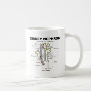 Njure Nephron Kaffemugg