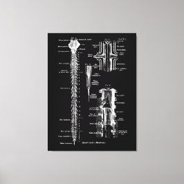 Njurslemhinnan Anatomi Medicinsk decor Canvastryck