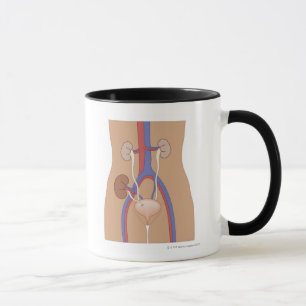 Njurtransplantation Mugg