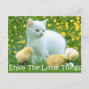 Njut av de lilla Sak Cute Animals Vykort